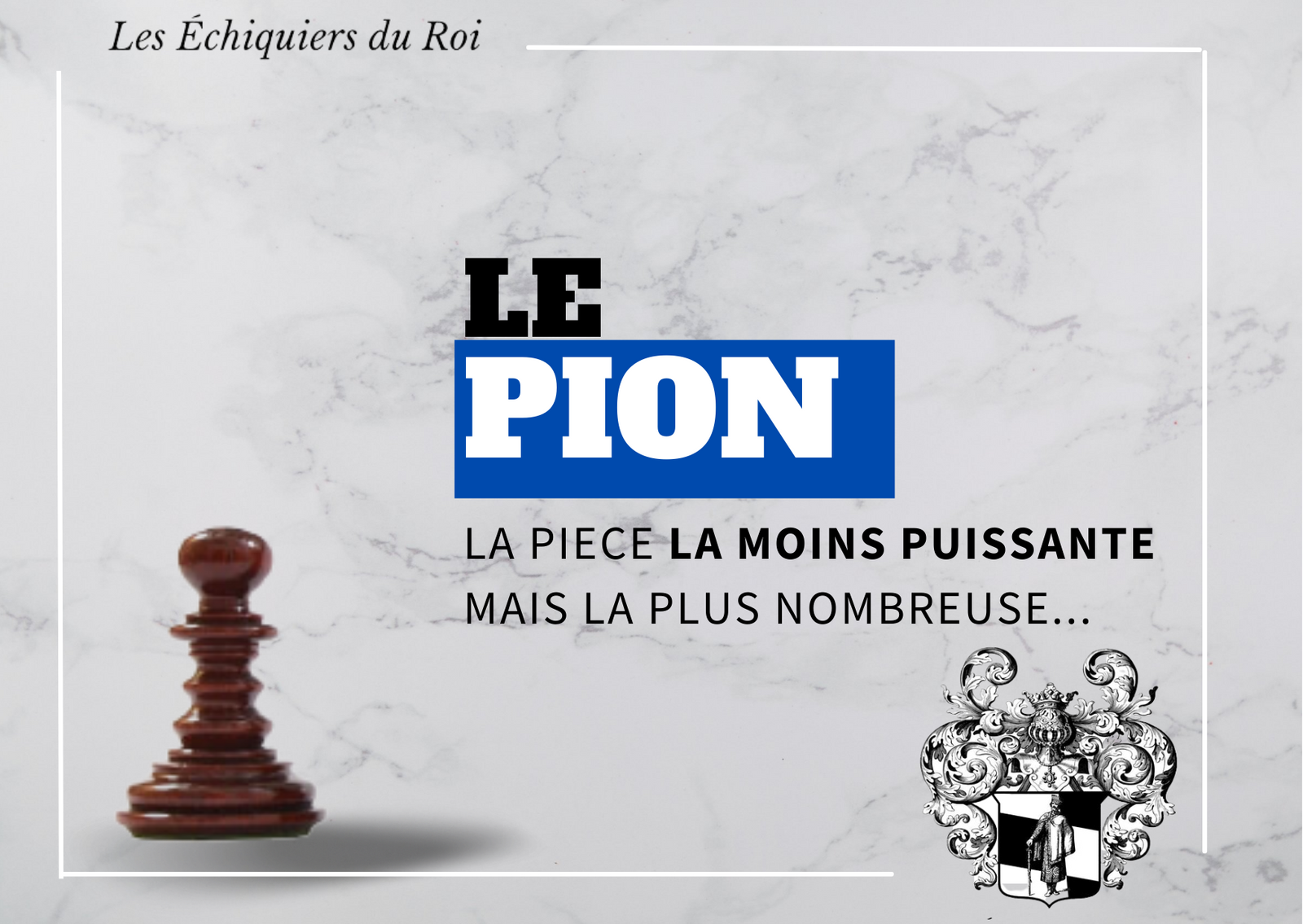 Le Pion <br>aux échecs