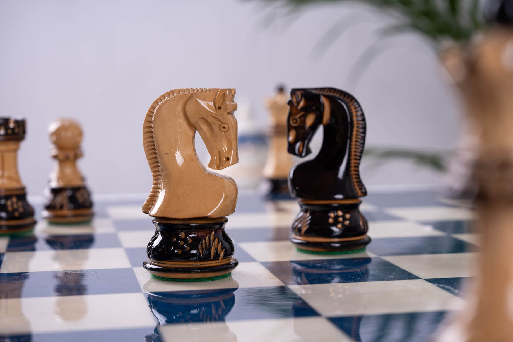 Jeu d'Échecs Bleu Roi <br>en Bois de Frêne