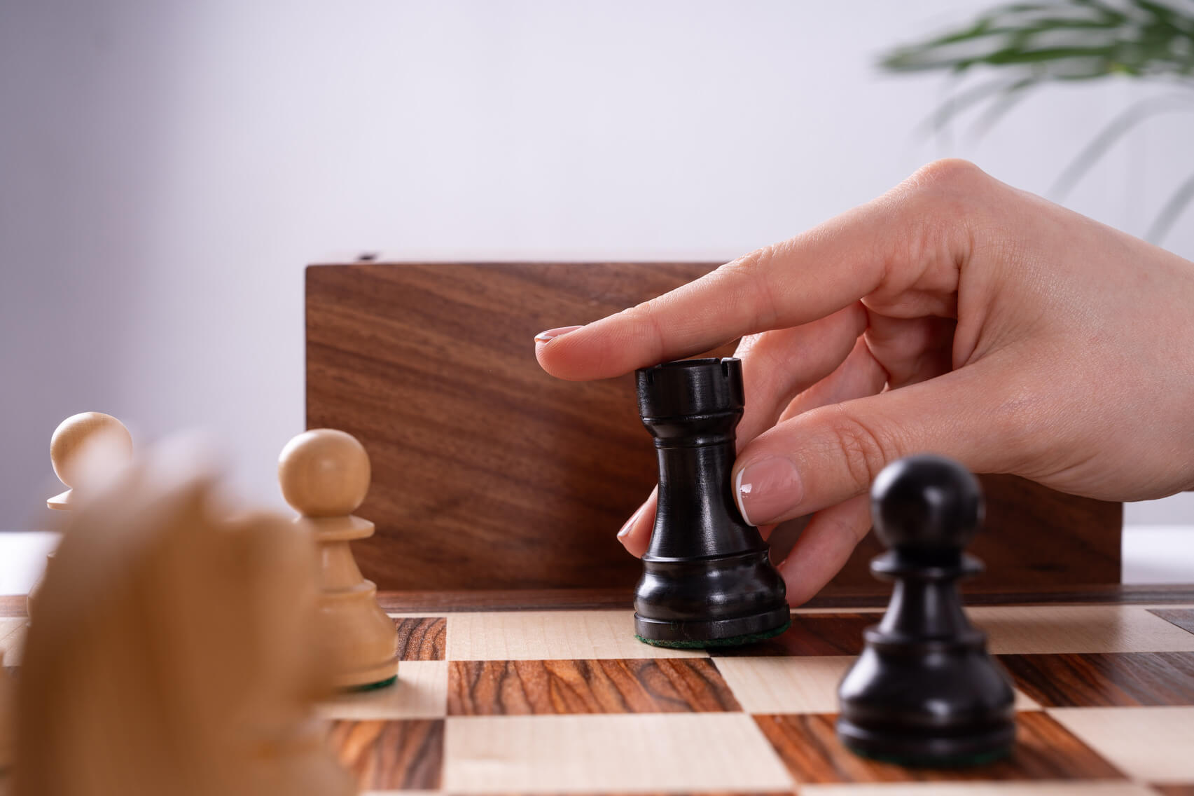 Jeu d'Échecs Espérance <br>en Bois de Palissandre