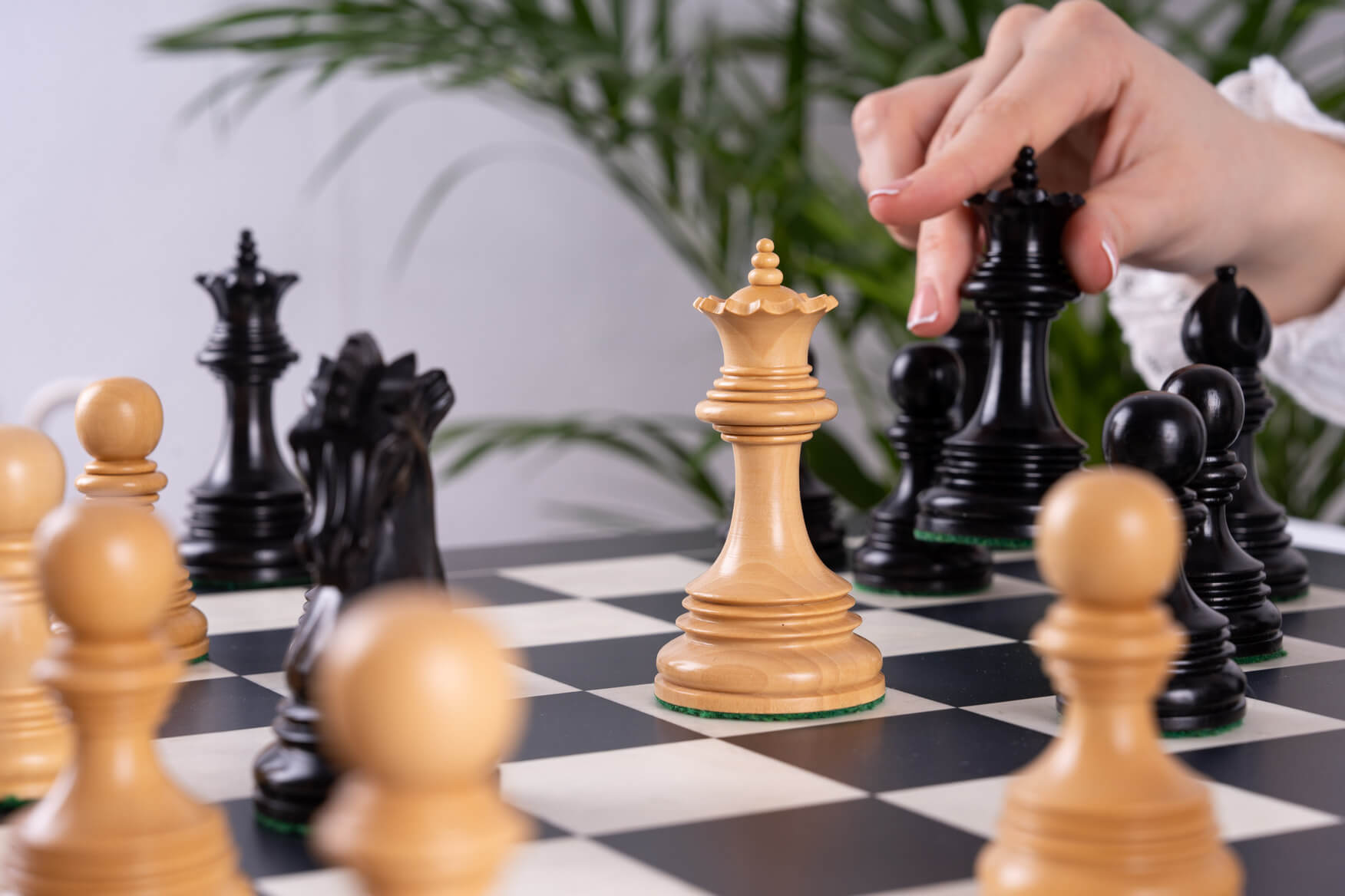 Jeu d'Échecs Passion <br>en Bois d'Érable