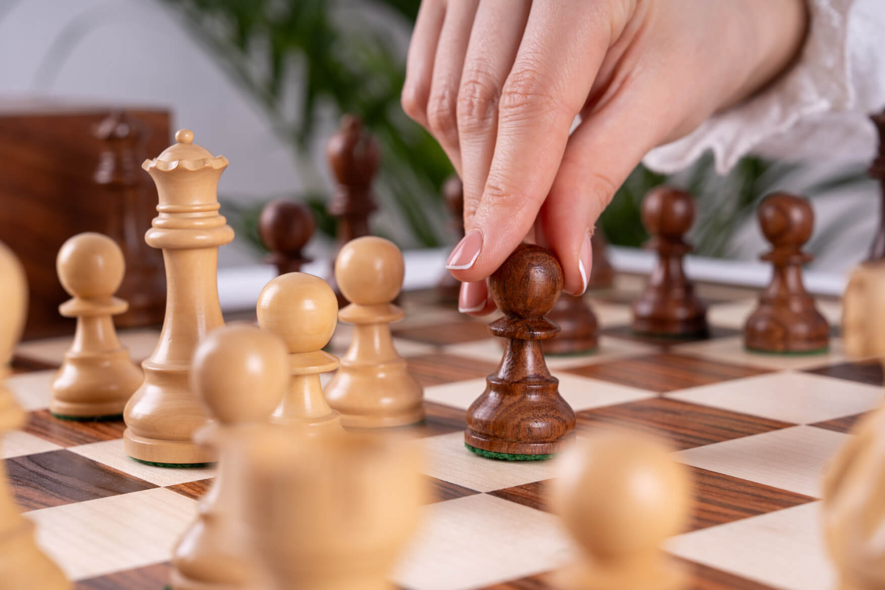 Jeu d'Échecs Bravoure <br>en Bois de Palissandre