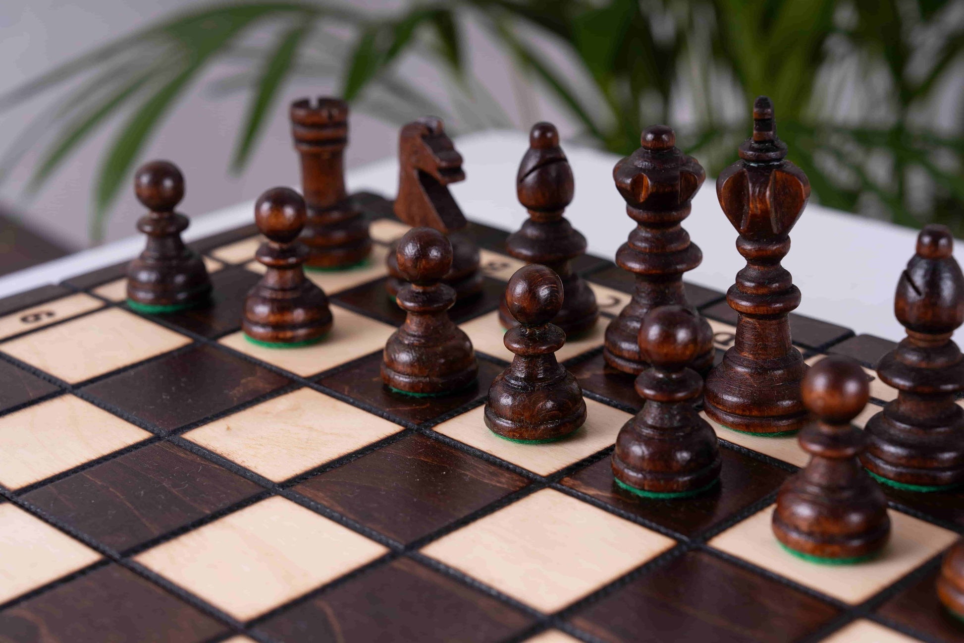 Échiquier en Bois de Charme<br> et son Jeu d'Échecs