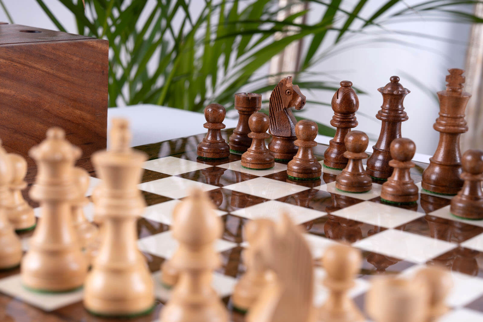 Jeu d'Échecs Suprême <br>en Bois de Frêne et Buis