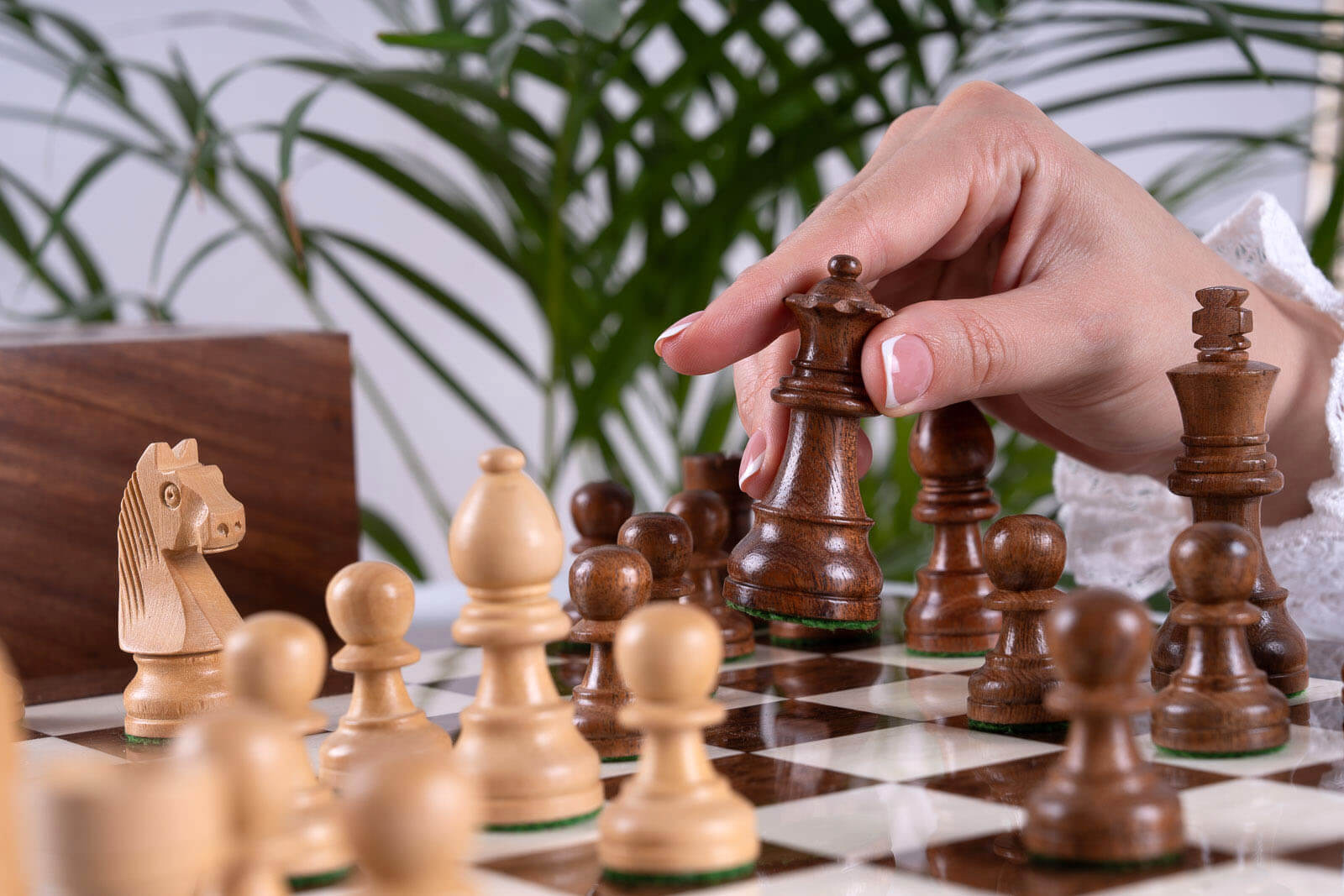 Jeu d'Échecs Suprême <br>en Bois de Frêne et Buis