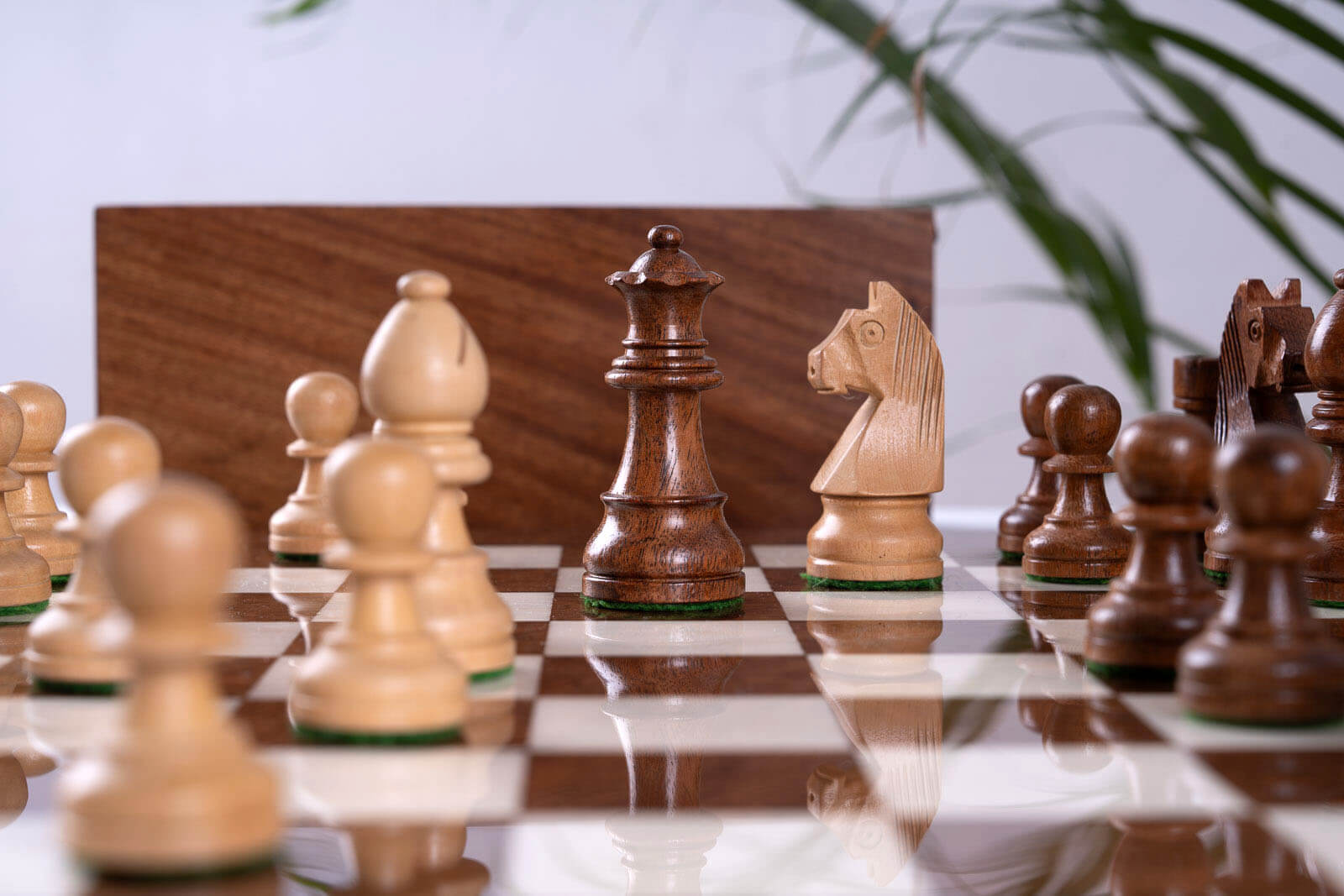 Jeu d'Échecs Suprême <br>en Bois de Frêne et Buis