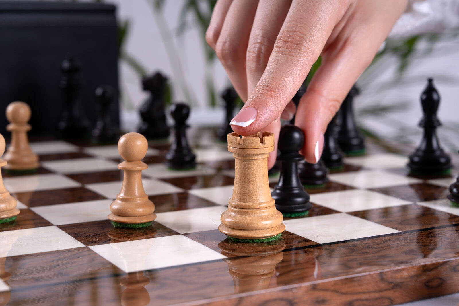 Jeu d'Échecs Guerrier <br>en Bois de Frêne et Buis