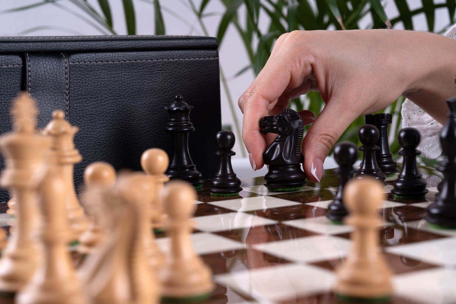 Jeu d'Échecs Guerrier <br>en Bois de Frêne et Buis