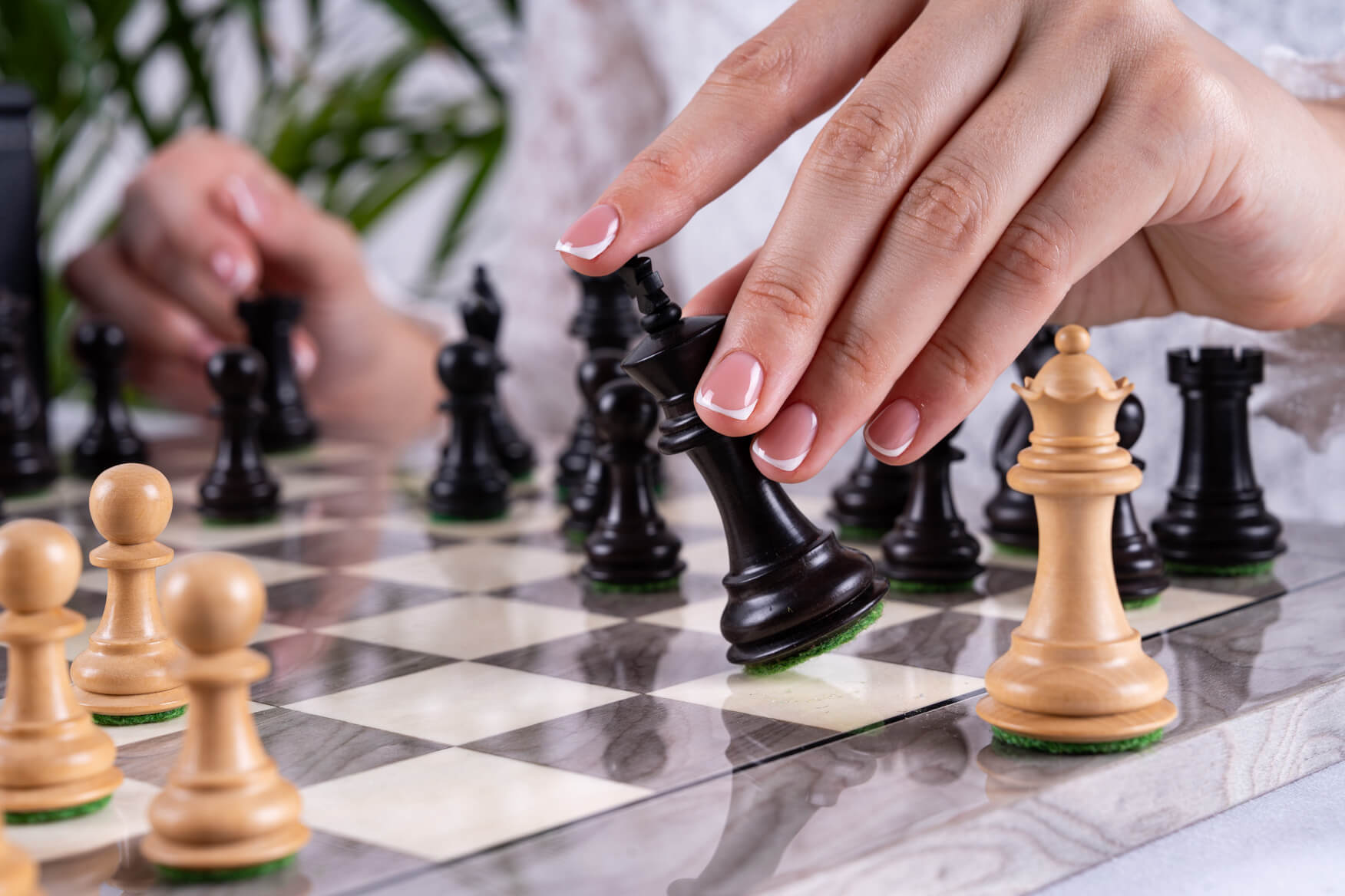 Jeu d'Échecs Emblème <br>en Bois de Frêne et Buis