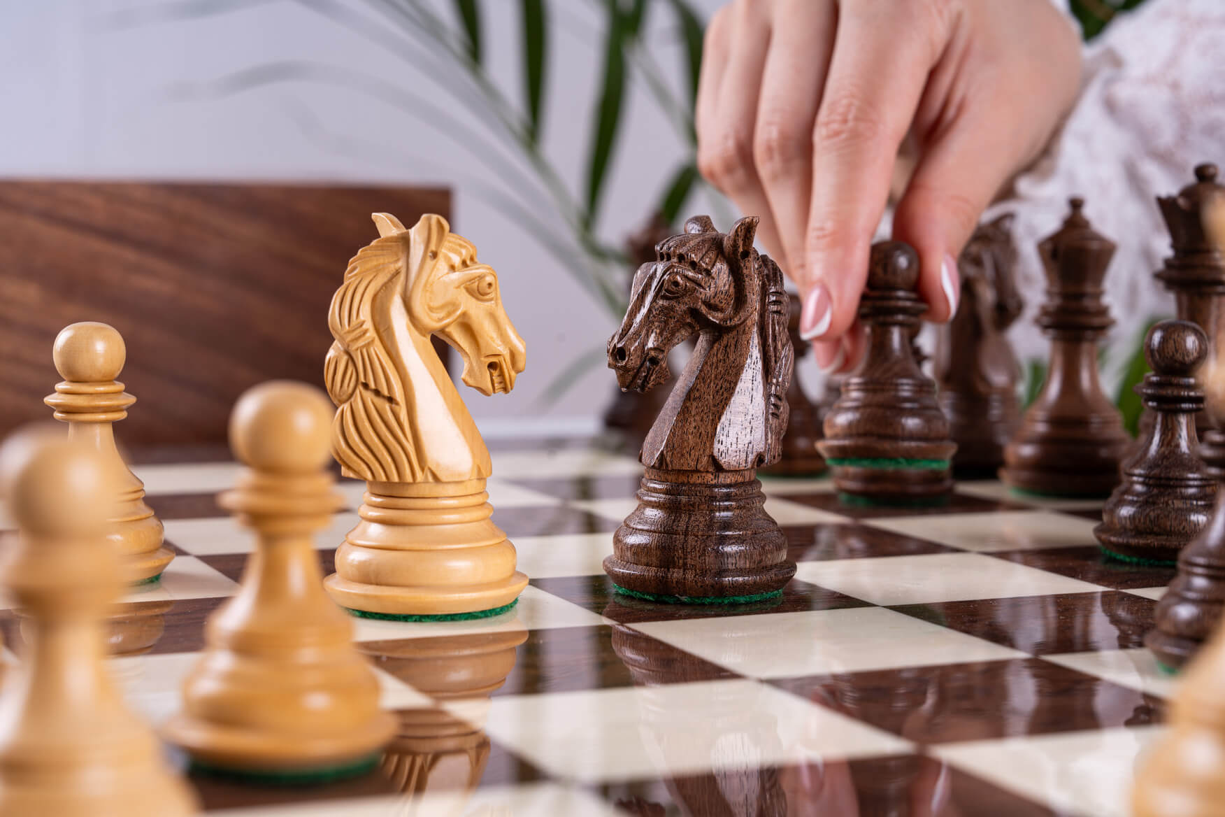 Jeu d'Échecs Audace <br>en Bois de Frêne et Acacia