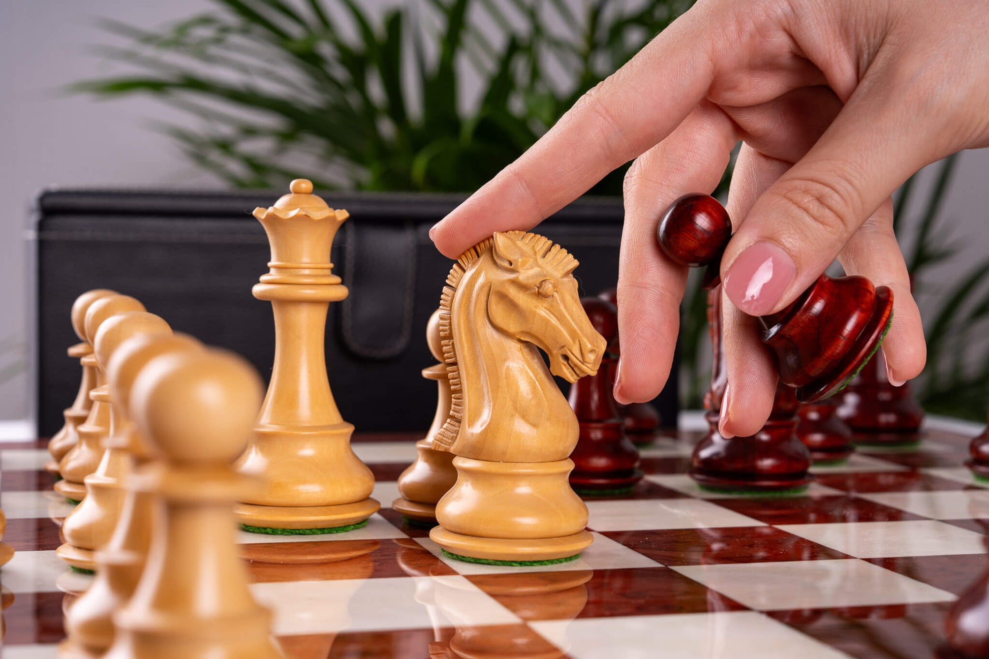 Jeu d'Échecs Quintessence <br>en Loupe de Frêne