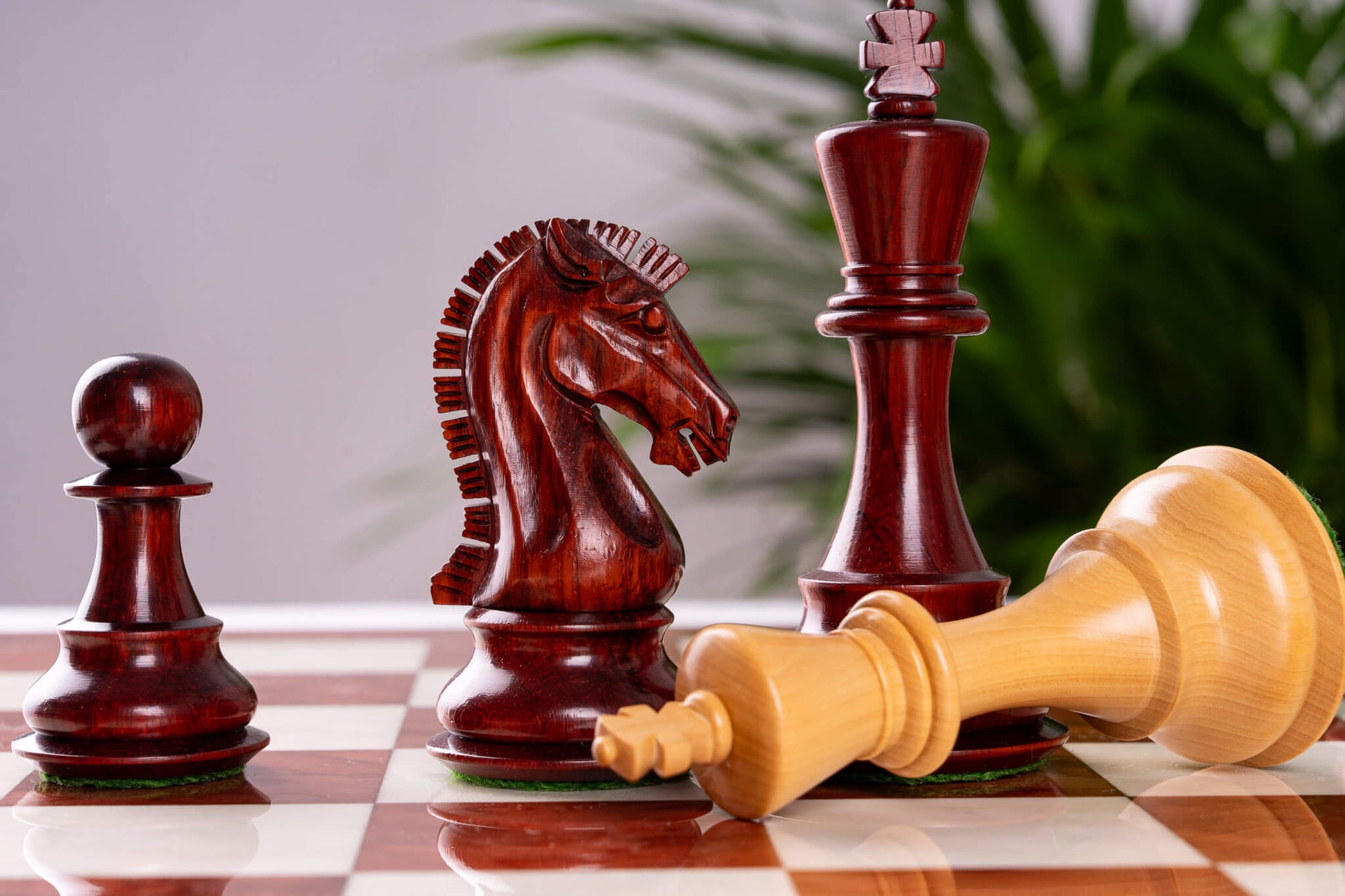 Jeu d'Échecs Quintessence <br>en Loupe de Frêne