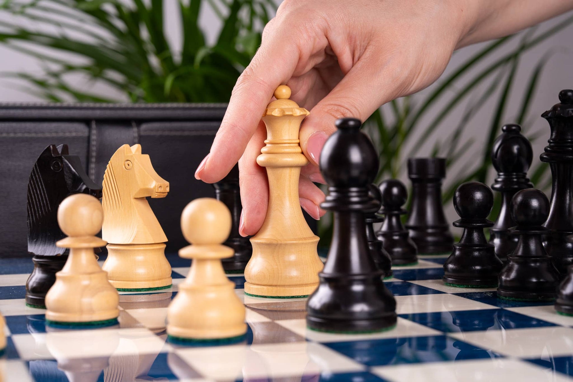 Jeu d'Échecs Renouveau <br>en Loupe de Frêne