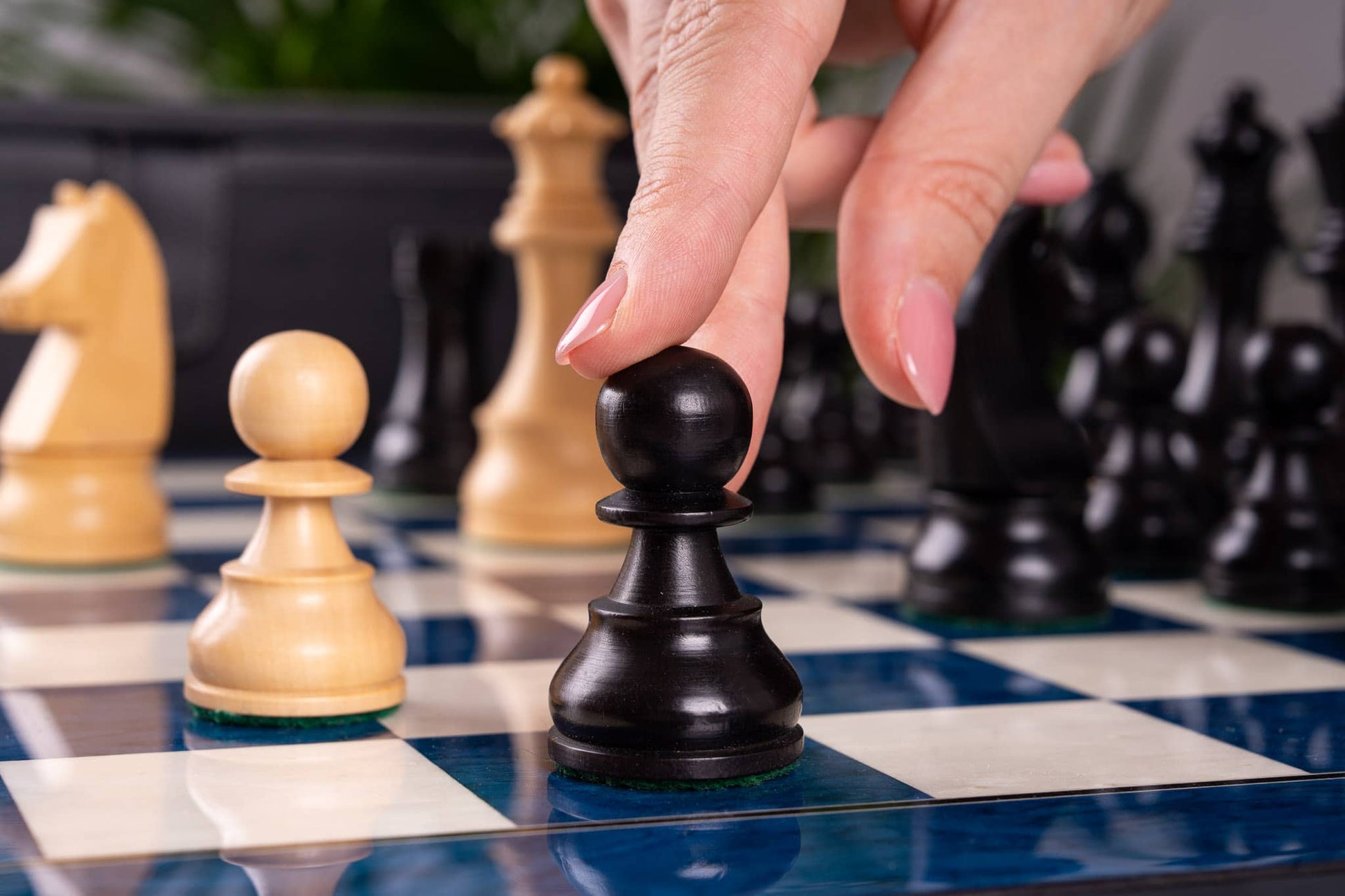 Jeu d'Échecs Renouveau <br>en Loupe de Frêne