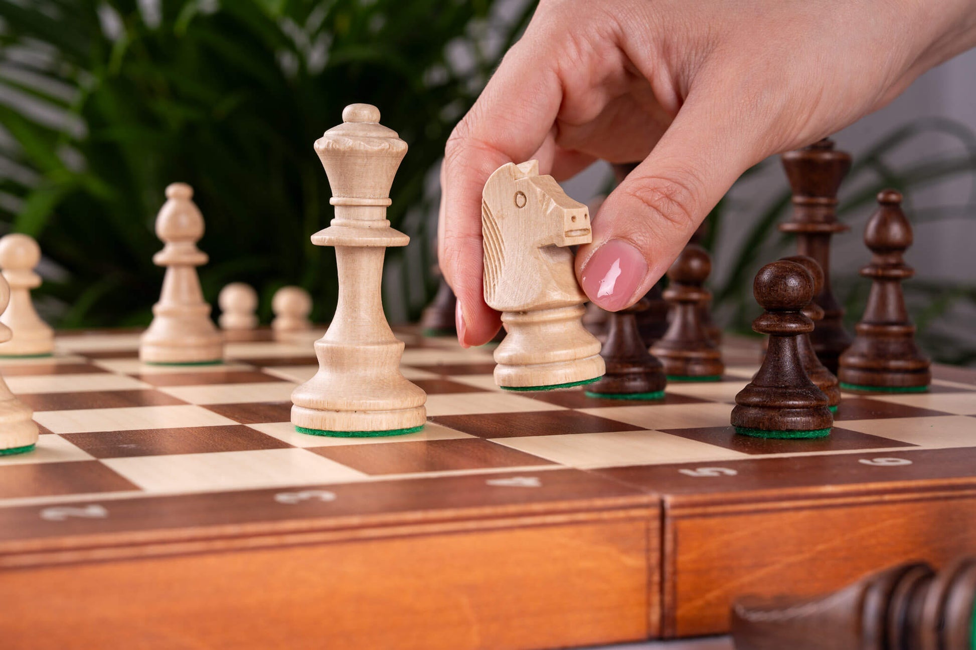 Échiquier de Tournoi <br>en Bois