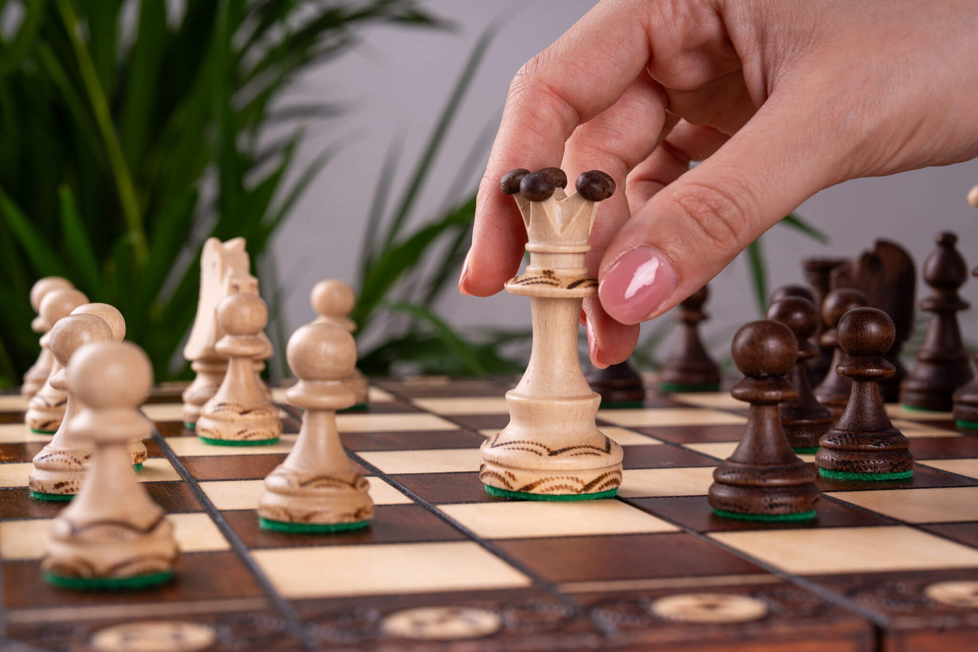 Échiquier en Sycomore <br>et son Jeu d'Échecs