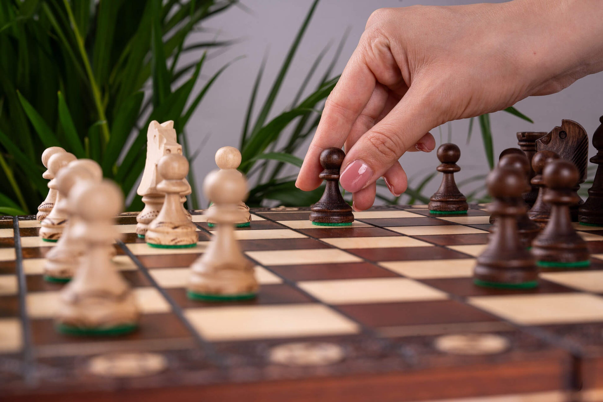 Échiquier en Sycomore <br>et son Jeu d'Échecs