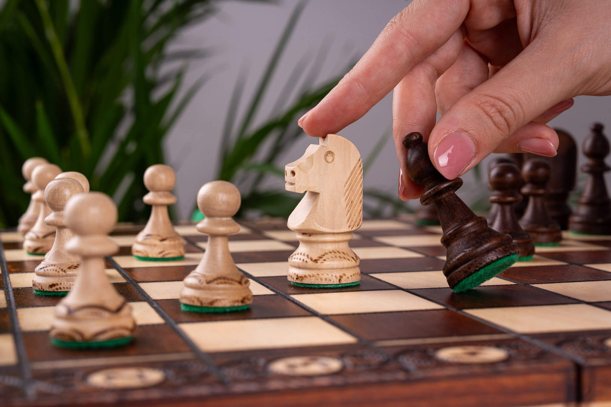 Échiquier en Sycomore <br>et son Jeu d'Échecs