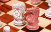 Jeu d'Échecs Coloré Cavalier