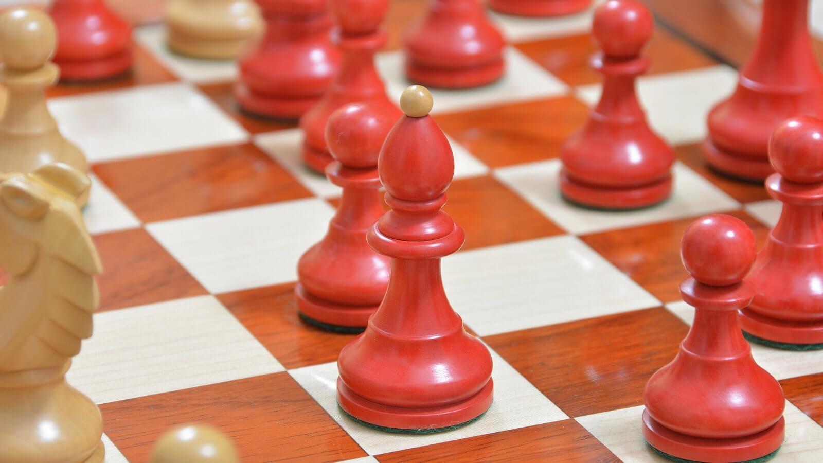 Jeu d'Echecs en Bois de Grande Taille Chevalier