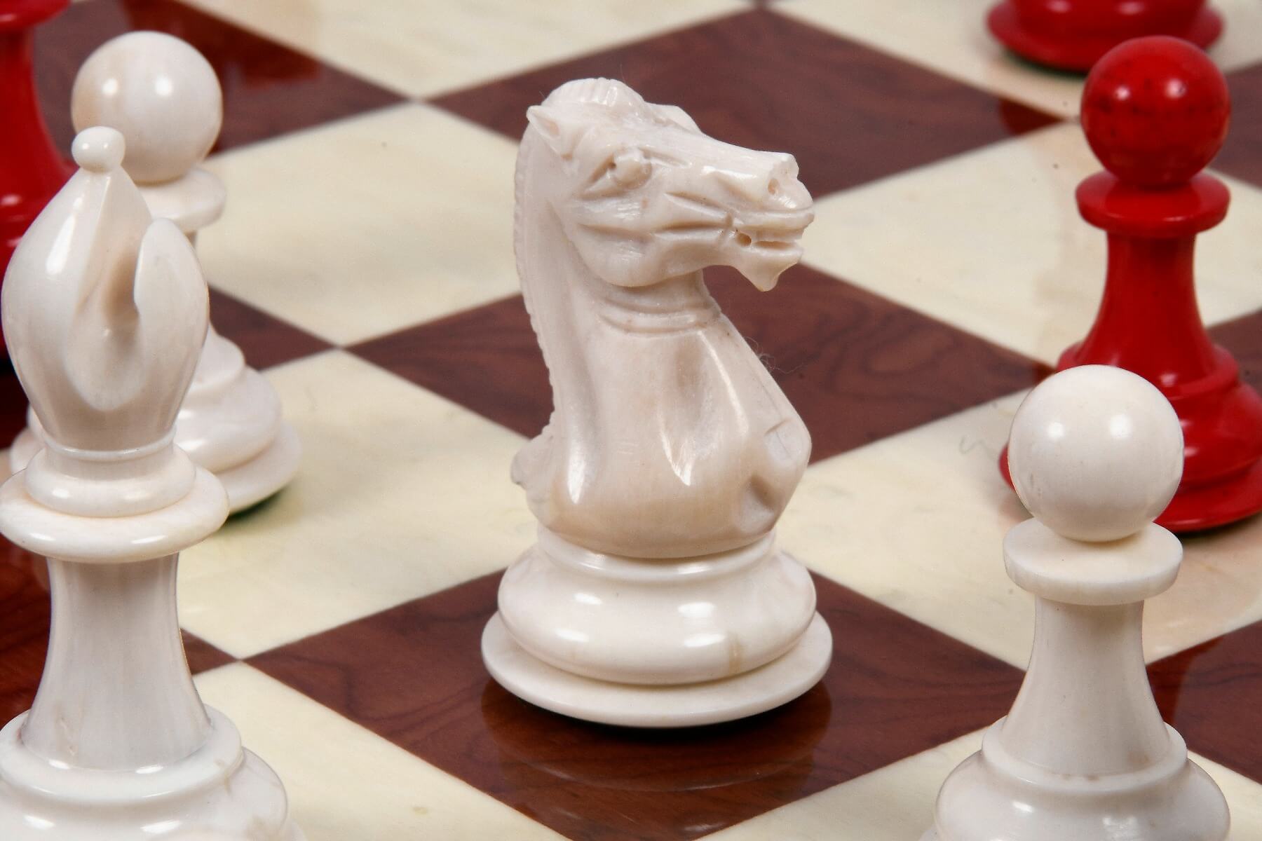 Jeu d'Échecs en Os Blancs