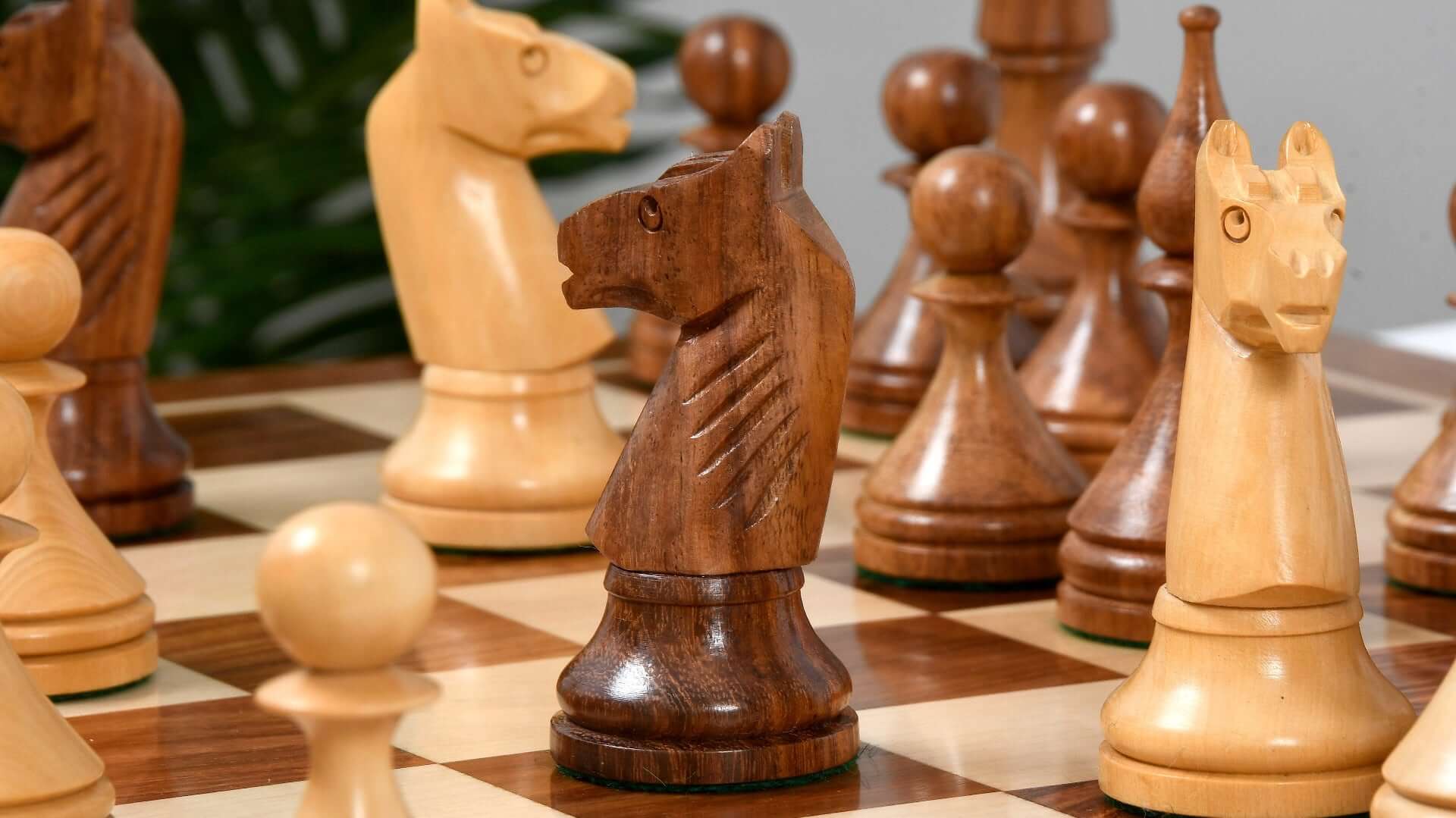 Jeu d'Echecs Indien Cavalier