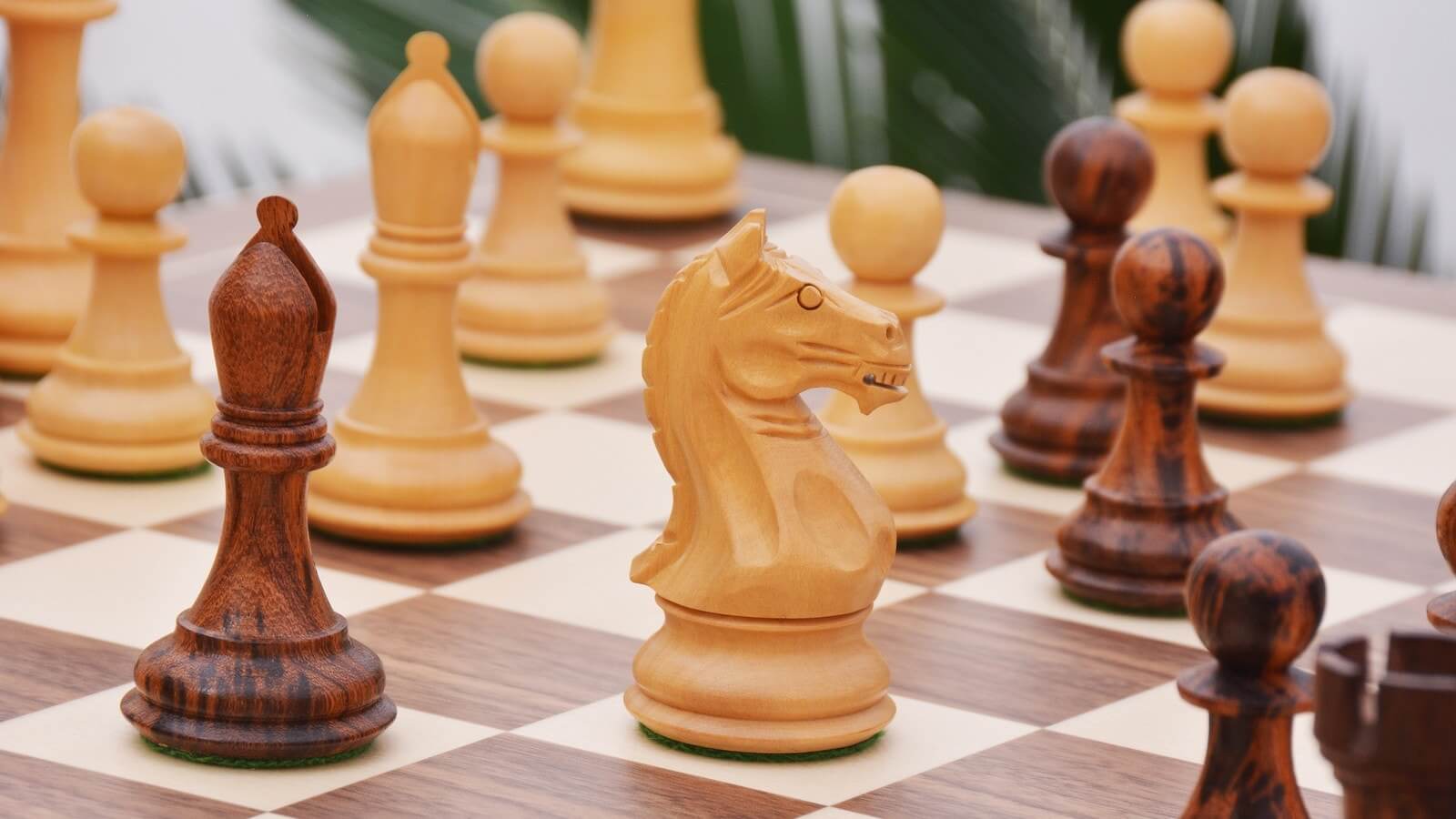 Jeu d'Échecs <br>Le Jeu de la Dame