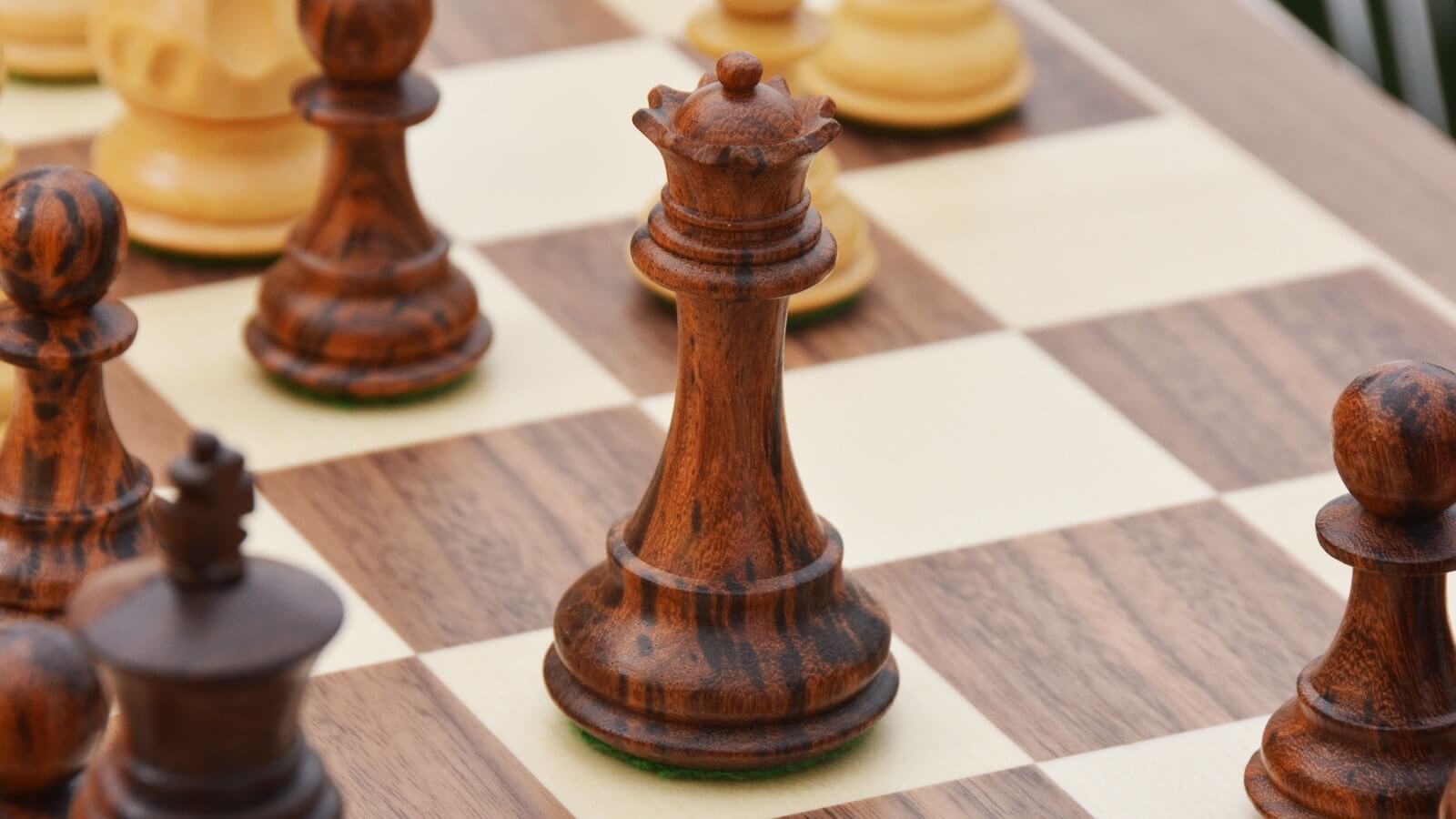 Jeu d'Échecs <br>Le Jeu de la Dame