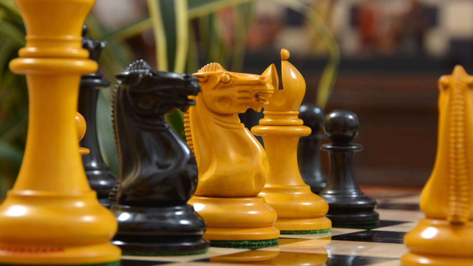 Jeu d'Echecs Professionnel Modèle Staunton 6 Cavalier Noir