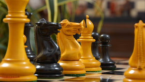 Jeu d'Echecs Professionnel Modèle Staunton 6 Cavalier Noir