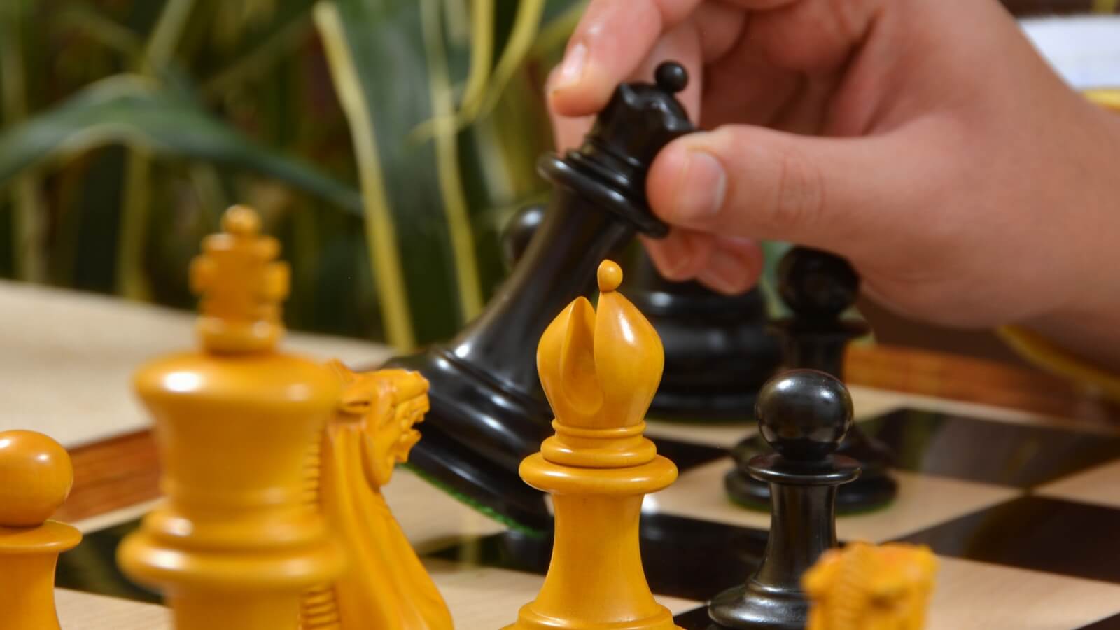 Jeu d'Echecs Professionnel Modèle Staunton 6 Fou Noir