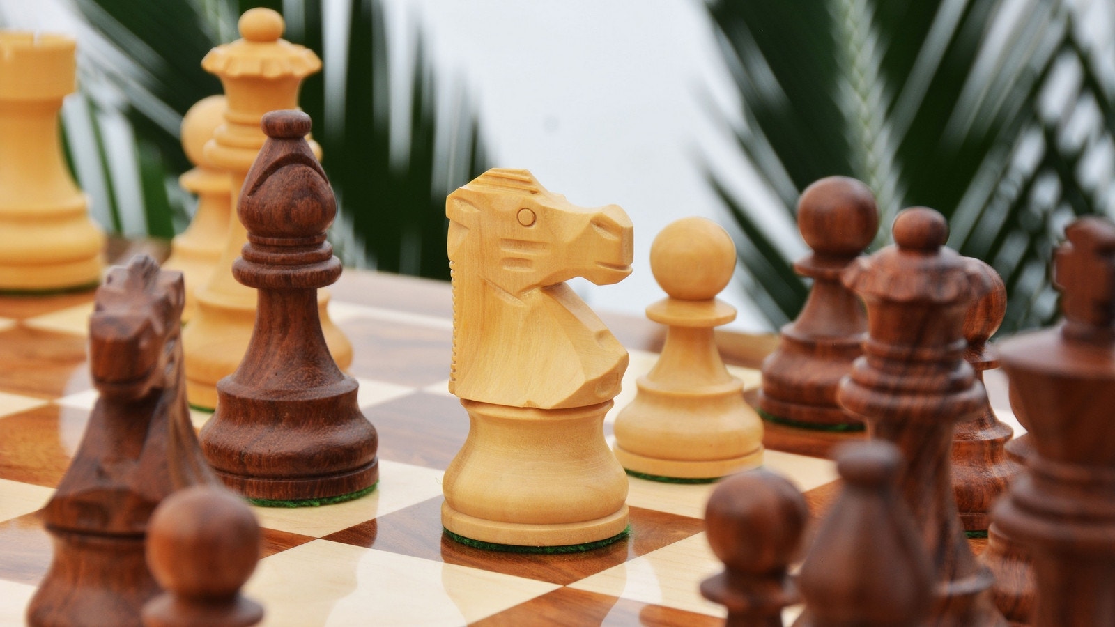 Jeu d'Echecs Français en Bois de Rose Table