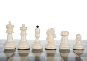 pieces echecs plastique usa cavalier