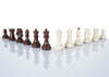 pieces echecs plastique usa amrique