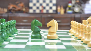 pieces echecs pour échiquier cavalier